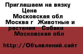 Приглашаем на вязку › Цена ­ 4 000 - Московская обл., Москва г. Животные и растения » Собаки   . Московская обл.